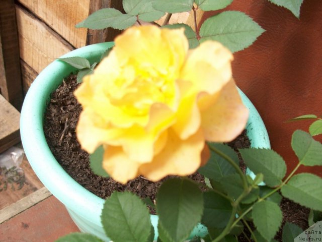 Фотография № 57630