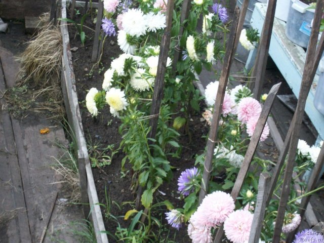 Фотография № 57632