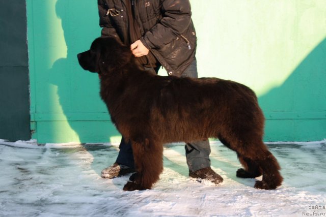 Фотография № 57639