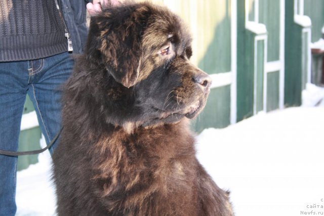 Фотография № 57643