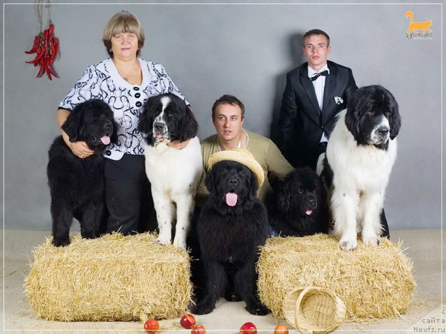 Фотография № 57644