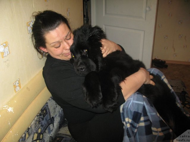 Фото: ID: [d10194]