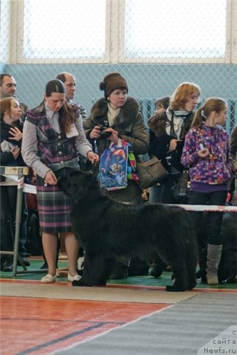 Фотография № 57725