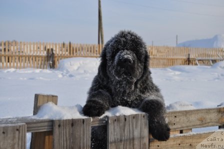 Фотография № 57727