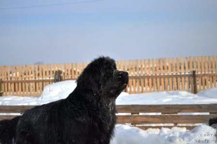 Фотография № 57742