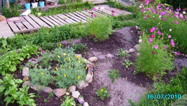 Фотография № 57756