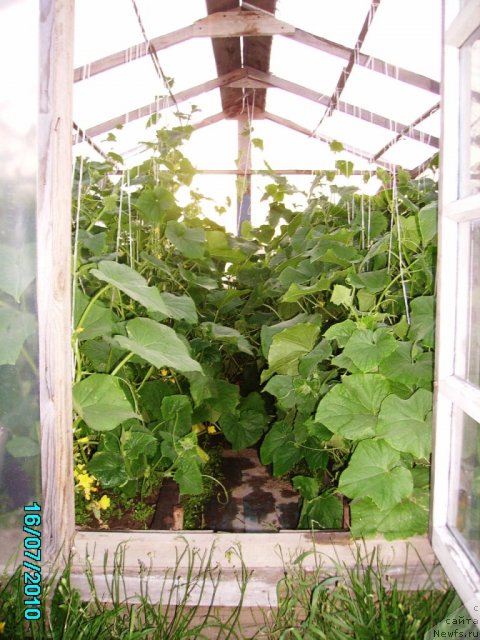 Фотография № 57762