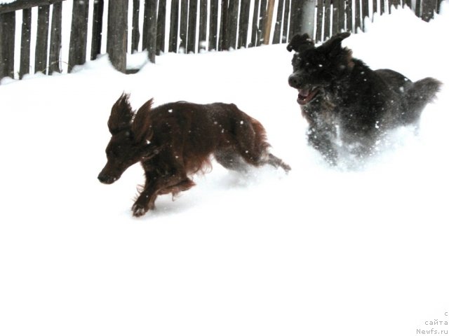 Фотография № 57766