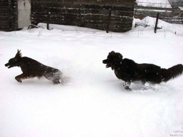 Фотография № 57769