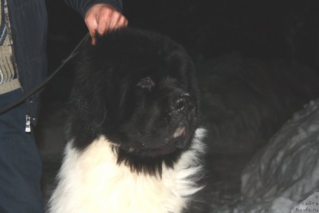 Фотография № 57797