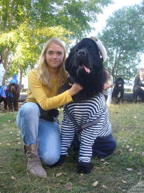 Фото: ньюфаундленд О Блек Диамонд Литтл Беар (O Black Diamond Little Bear)