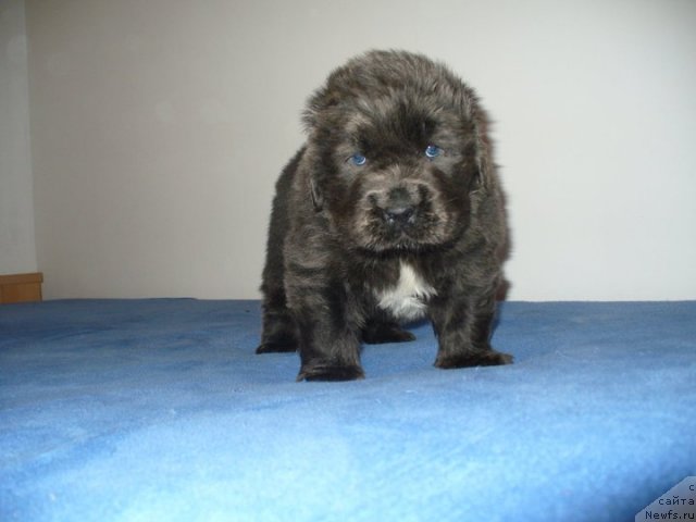 Фотография № 57891