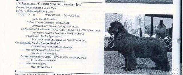 Фотография № 57897