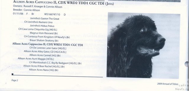 Фотография № 57898