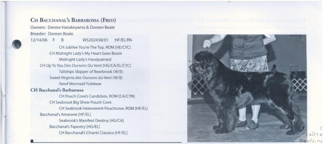 Фотография № 57917