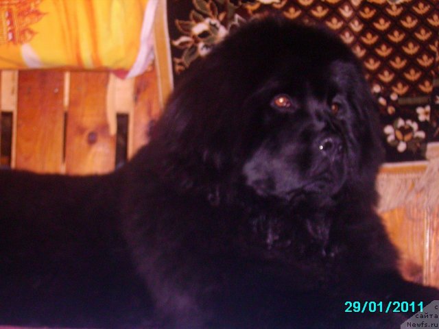 Фотография № 57920