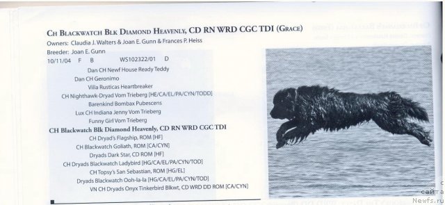 Фотография № 57922