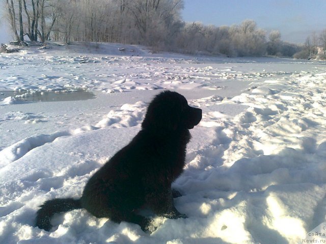 Фотография № 57924