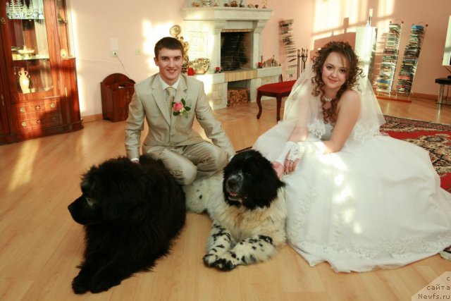 Фотография № 57927