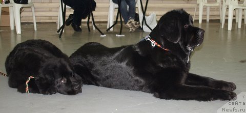 Фотография № 57934