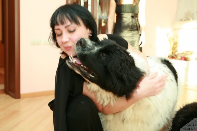 Фотография № 57936