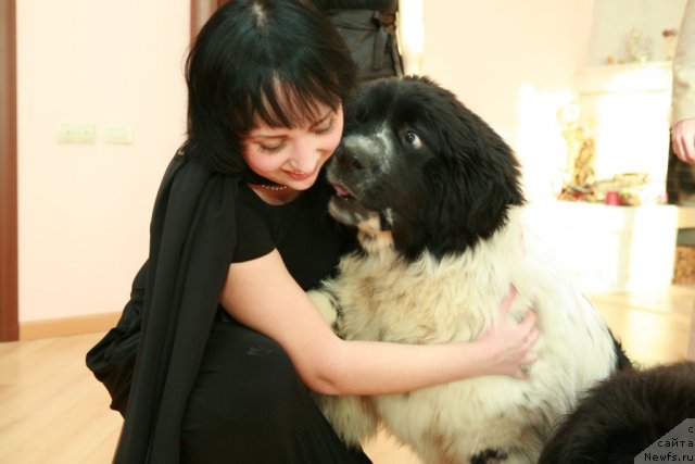 Фотография № 57938