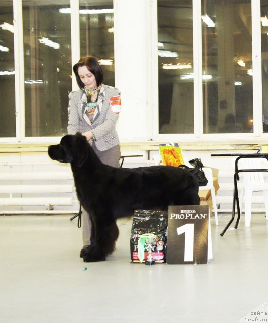 Фотография № 57952