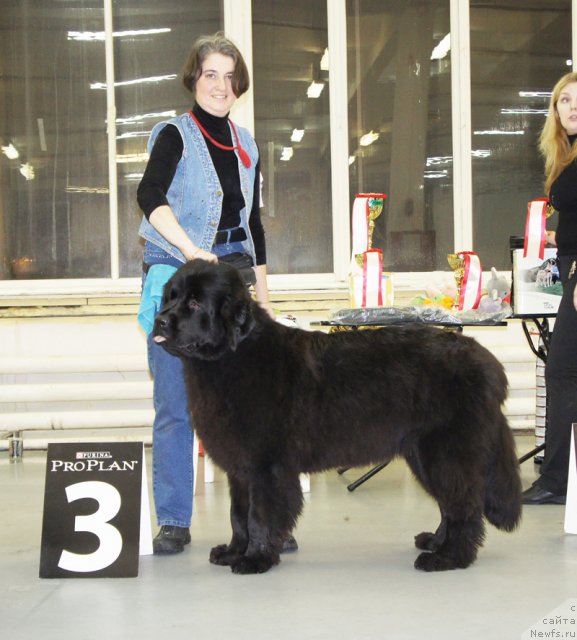 Фотография № 57954