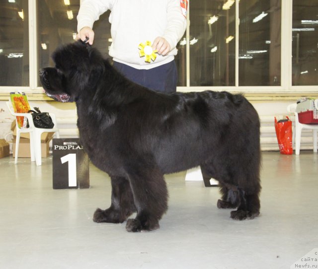 Фотография № 57957