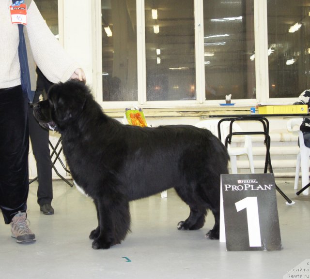 Фотография № 57961