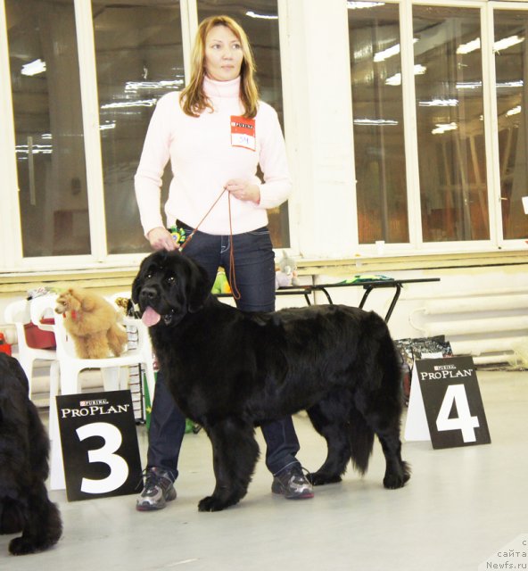 Фотография № 57962