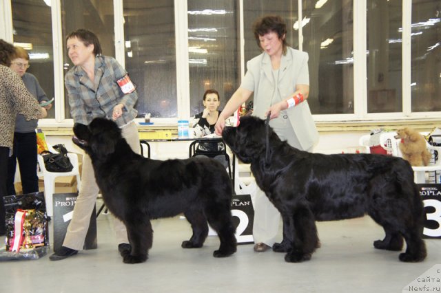 Фотография № 57965