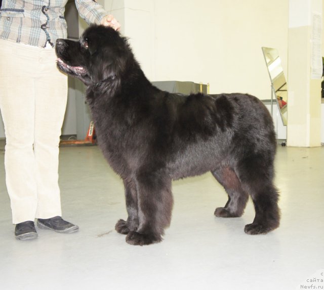 Фотография № 57966