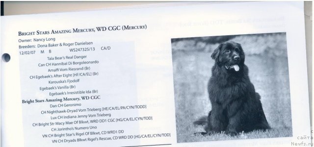 Фотография № 57973