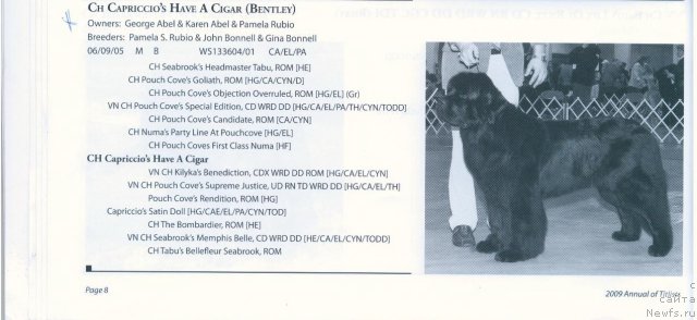 Фотография № 57979