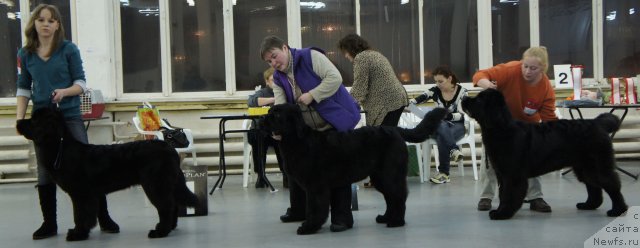 Фотография № 57980