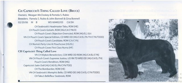 Фотография № 57981