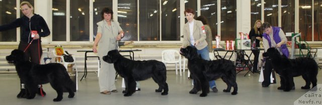 Фото: Дар СвеЗы Юриэль Корона Бореалис БП1_Целого Мира Мало из Аркаима БП2_Центр Мироздания из Аркаима БП3_Дар СвеЗы Юника Сагитта БП4