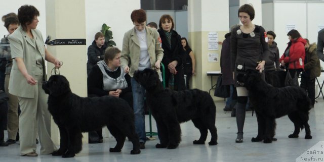 Фотография № 57986