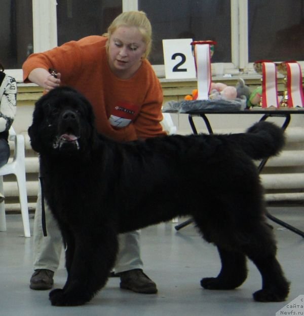 Фотография № 57987