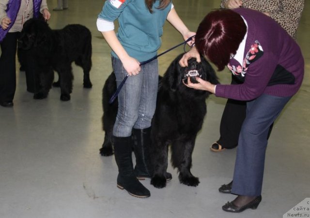 Фотография № 57989