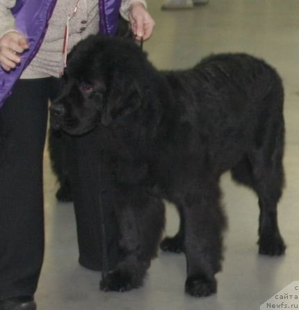 Фотография № 57990