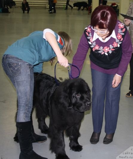 Фотография № 57991