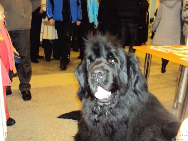 Фотография № 58000