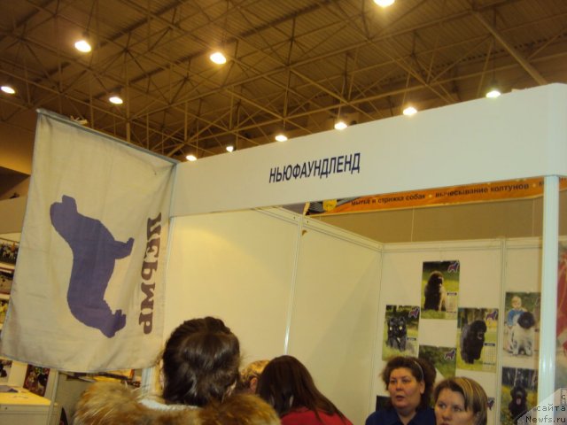 Фотография № 58003