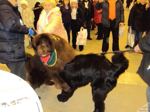 Фотография № 58006