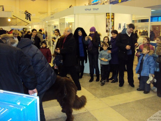 Фотография № 58008