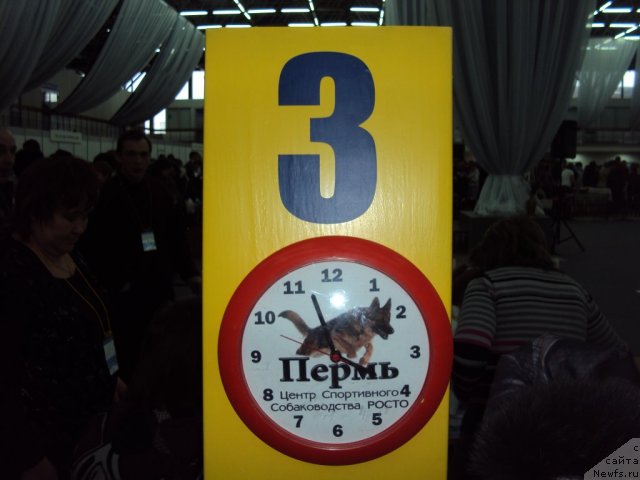 Фотография № 58012