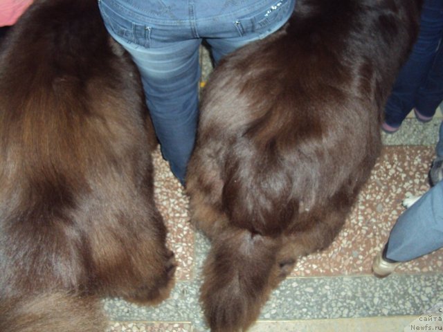 Фотография № 58013