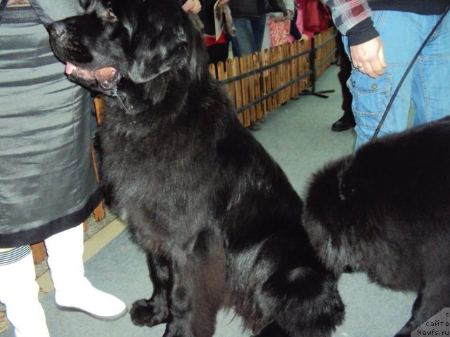 Фотография № 58014